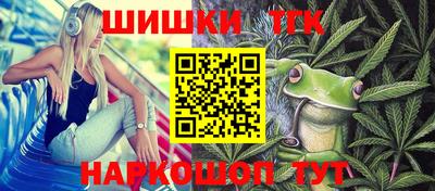 индика Можайск