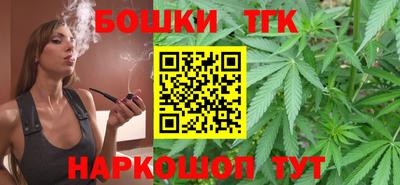 индика Можайск
