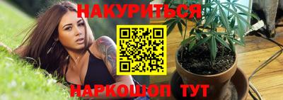 индика Можайск
