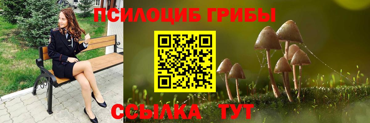 Галлюциногенные грибы Psilocybine cubensis Ступино